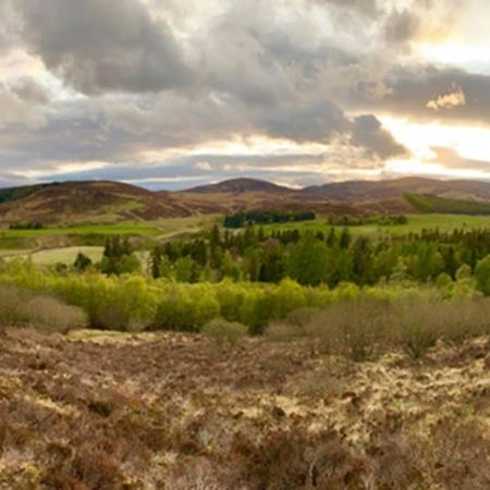 Blairbeg Cottage Blairgowrie and Rattray Buitenkant foto